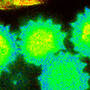 header-life-science.jpg