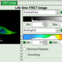 flim-fret-1expd_bindingimage.png