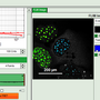 flim-fret-calculation_for_multi-exponential_donors_image_41.png