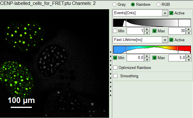 flim-fret-multiexpd_roi.png