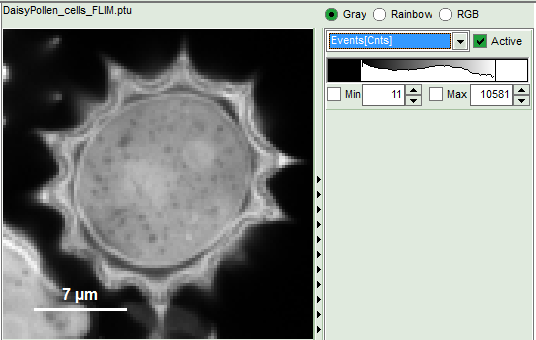 greyscale_image.png