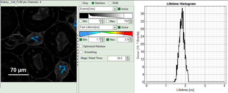 nuclei_magicwand30_3.png