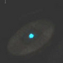 picoquant_28.png