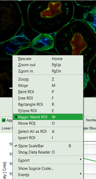selectmagicwand_w.png