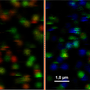 using_the_anisotropy_image_script_image_13.png